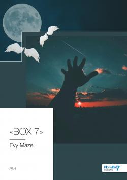  BOX 7  par Evy Maze