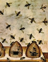 Le Pot de miel par Paul Arne