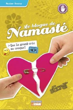 Le blogue de Namast, tome 6 : Que le grand cric me croque! par Maxime Roussy