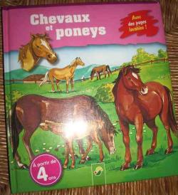 Chevaux et poneys avec des pages lavables par Lisa Maurer