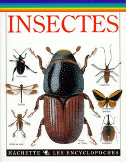 Les encyclopoches : les insectes par Laurence Alfred Mound