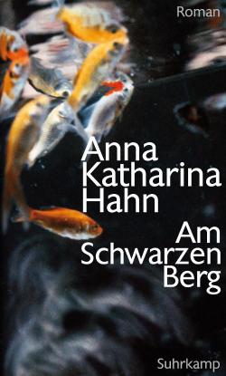 Am Schwarzen Berg par Anna Katharina Hahn