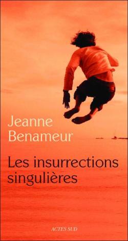 Les insurrections singulires par Jeanne Benameur