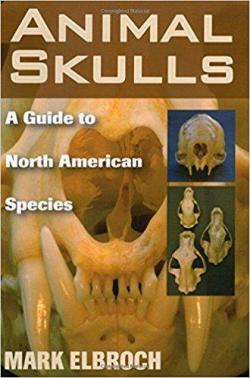 Animal Skulls par Mark Elbroch