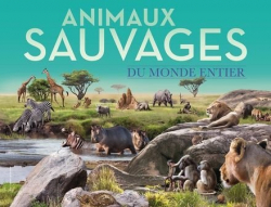 Animaux sauvages du monde entier par Gallimard Jeunesse