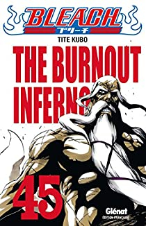 Bleach, tome 45 : The Burnout Inferno par Taito Kubo