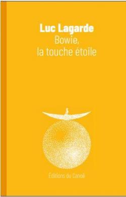 Bowie, la touche toile par Luc Lagarde