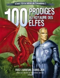 Vivez l'aventure : 100 Prodiges au Royaume des Elfes par Jean-Luc Bizien