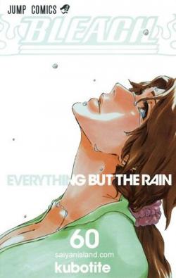 Bleach, tome 60 : Everything but the rain par Taito Kubo