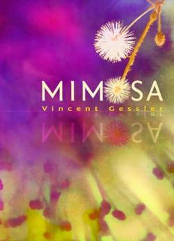 Mimosa par Vincent Gessler