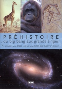 Prhistoire, du big bang aux grands singes par Jean-Marc Perino