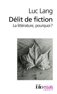 Dlit de fiction : La littrature, pourquoi ? par Luc Lang