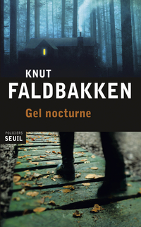 Gel nocturne par Knut Faldbakken