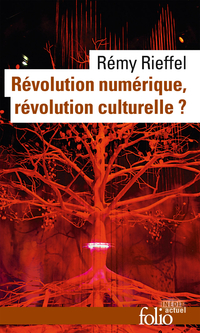 Rvolution numrique, rvolution culturelle? par Rmy Rieffel
