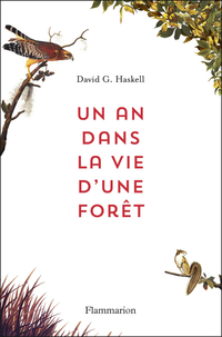 Un an dans la vie d'une fort par David G. Haskell