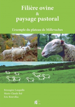 Filire ovine et paysage pastoral par Brengre Languille