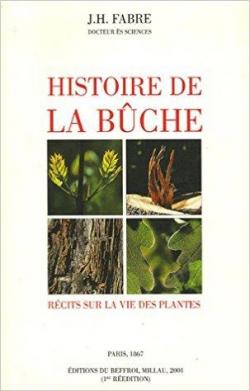 Histoire de la bche par Jean-Henri Fabre