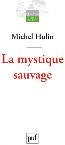 La mystique sauvage par Michel Hulin