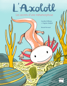 L'axolotl, les secrets d'une mtamorphose par Caroline Pellissier