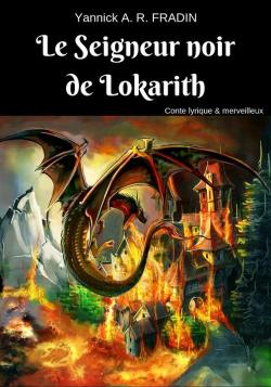 Le Seigneur noir de Lokarith par Yannick Fradin