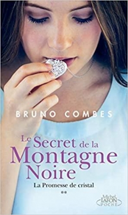 Le secret de la Montagne Noire, tome 2 : La promesse de cristal par Bruno Combes