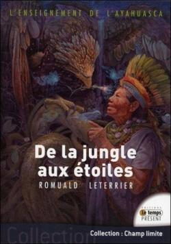 L'enseignement de l'Ayahuasca : De la jungle aux toiles par Romuald Leterrier