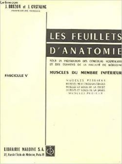 Les feuillets d'anatomie, tome 5 : muscles du membre infrieur par Jacques Brizon