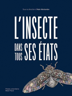 L'insecte dans tous ses tats par Alain Montandon