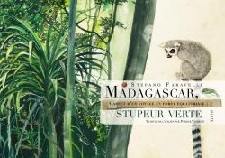 Madagascar, stupeur verte par Stefano Faravelli