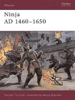 Ninja AD 14601650 par Stephen Turnbull