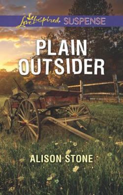 Plain Outsider par Alison Stone