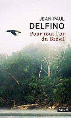Suite brsilienne, tome 5 : Pour tout l'or du Brsil par Jean-Paul Delfino
