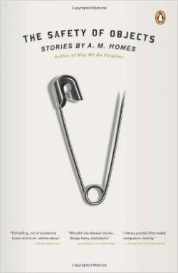 The safety of objects par A. M. Homes