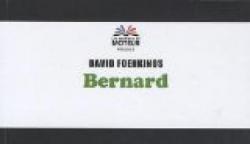 Bernard par David Foenkinos