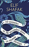10 minutes et 38 secondes dans ce monde trange par Shafak