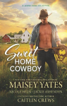 Jasper Creek - Intgrale, tome 3 : Sweet Home Cowboy par Ashenden