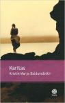 Karitas, tome 1 : L'esquisse d'un rve (Karitas, sans titre) par Baldursdttir