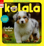 Kolala, n36 : Cachou le chiot par Kolala