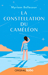 La Constellation du camlon par 