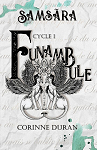 La saga funambule - Cycle 1 : Samsra par Duran