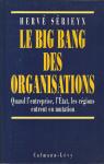 Le big bang des organisations par Srieyx