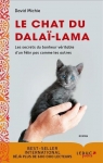 Le chat du dala-lama