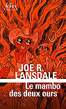 Hap Collins et Leonard Pine : Le mambo des deux ours par Lansdale