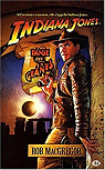 Les Aventures d'Indiana Jones, Tome 2 : Indiana Jones et la danse des gants par MacGregor