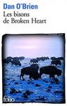 Les bisons de Broken Heart par O`Brien