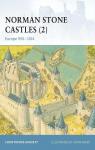 Norman Stone Castles (2) Europe 9501204 par Gravett