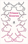 Primum Bisourum par Mazars