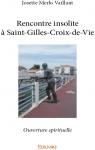 Rencontre insolite  Saint-Gilles-Croix-de-Vie par Merlo Vaillant