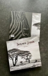 Tanzania Dream par Bonomo