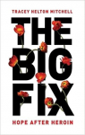 The Big Fix par Helton Mitchell